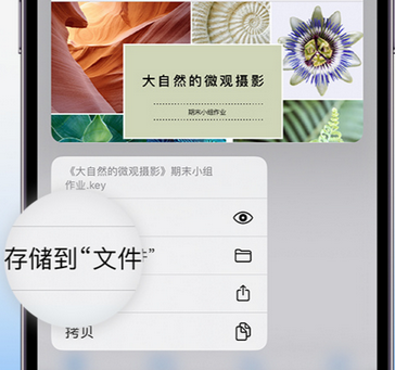 丰镇apple维修中心分享iPhone文件应用中存储和找到下载文件