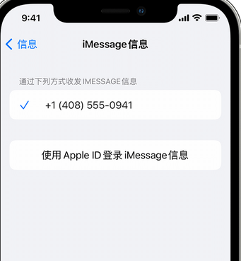 丰镇apple维修iPhone上无法正常发送iMessage信息