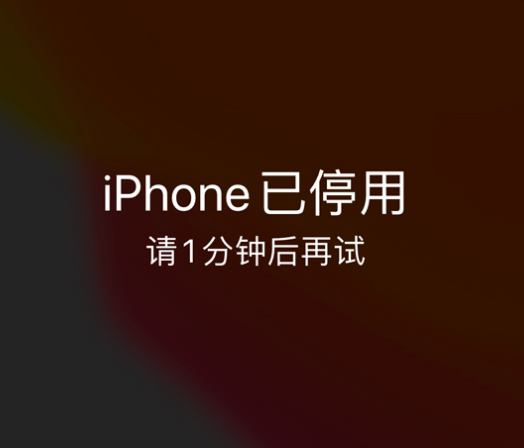 丰镇苹果手机维修分享:iPhone 显示“不可用”或“已停用”怎么办？还能保留数据吗？ 