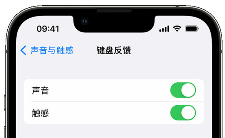 丰镇苹果手机维修分享iPhone 14触感键盘使用方法 