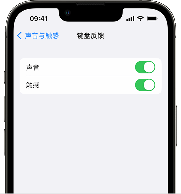 丰镇苹果14维修店分享如何在 iPhone 14 机型中使用触感键盘 