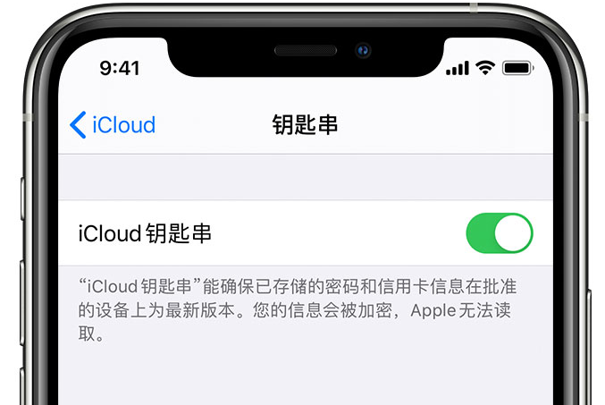 丰镇苹果手机维修分享在 iPhone 上开启 iCloud 钥匙串之后会储存哪些信息 