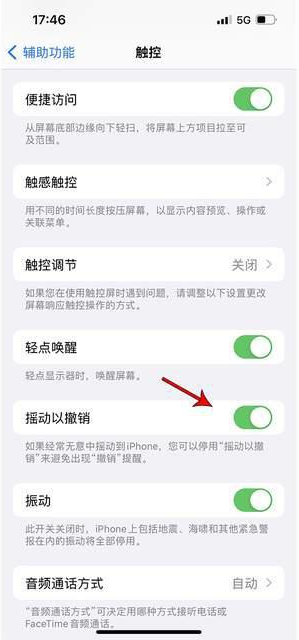 丰镇苹果手机维修分享iPhone手机如何设置摇一摇删除文字 