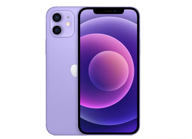 丰镇苹果手机维修分享现阶段要不要入手紫色版iPhone12 