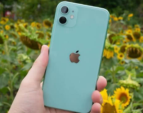 丰镇苹果维修点分享iPhone 11锁屏密码认知与使用科普 